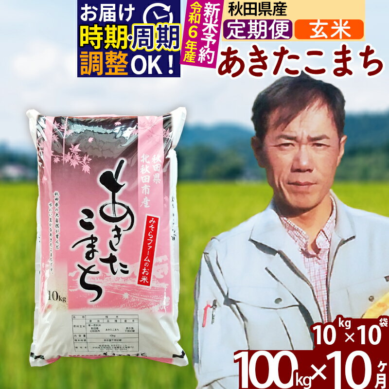 【ふるさと納税】 《定期便10ヶ月》 【玄米】 秋田県産 あきたこまち 100kg (10kg×10袋)×10回 計1000kg 令和3年産 時期選べる新米 令和4年 お届け周期調整可能 隔月に調整OK 一等米 10か月 10ヵ月 10カ月 10ケ月 100キロ お米