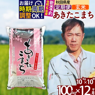 【ふるさと納税】 《定期便12ヶ月》 【玄米】 秋田県産 あきたこまち 100kg (10kg×10袋)×12回 計1200kg 令和3年産 時期選べる新米 令和4年 お届け周期調整可能 隔月に調整OK 一等米 12か月 12ヵ月 12カ月 12ケ月 100キロ お米