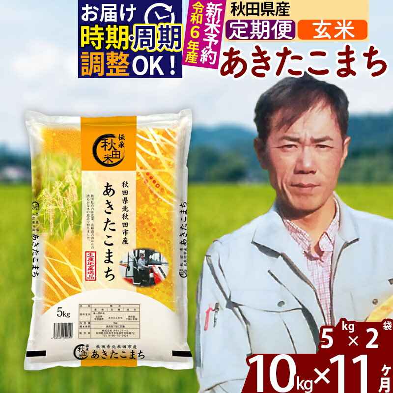 30位! 口コミ数「0件」評価「0」※令和6年産 新米予約※《定期便11ヶ月》秋田県産 あきたこまち 10kg【玄米】(5kg小分け袋) 2024年産 お届け周期調整可能 隔月･･･ 