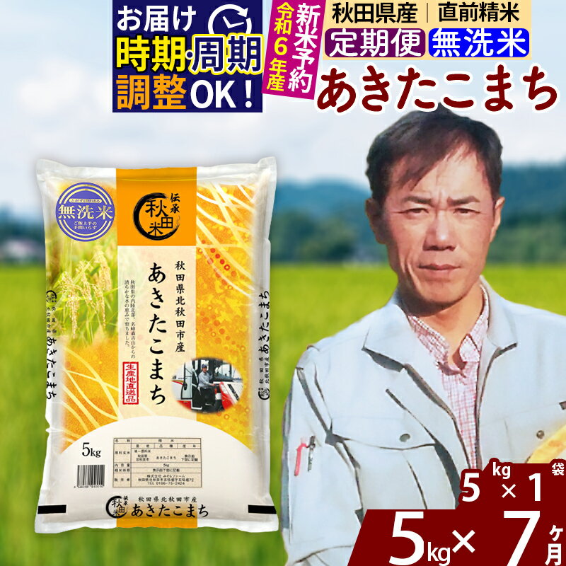 【ふるさと納税】※令和6年産 新米予約※《定期便7ヶ月》秋田