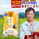 【ふるさと納税】※令和6年産 新米予約※《定期便8ヶ月》秋田