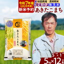 【ふるさと納税】※令和6年産 新米予約※《定期便12ヶ月》秋田県産 あきたこまち 5kg【無洗米】(5kg小分け袋) 2024年産 お届け周期調整可能 隔月に調整OK お米 みそらファーム