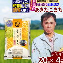 【ふるさと納税】※令和6年産 新米予約※《定期便4ヶ月》秋田県産 あきたこまち 20kg【無洗米】(5kg) 2024年産 お届け周期調整可能 隔月に調整OK お米 みそらファーム 1