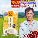 【ふるさと納税】※令和7年産 新米予約※《定期便11ヶ月》秋田県産 あきたこまち 20kg【無洗米】(5kg) 2025年産 お届け周期調整可能 隔月に調整OK お米 みそらファーム