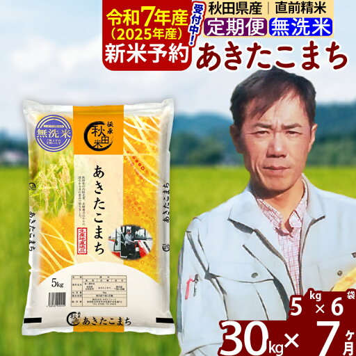 【ふるさと納税】※令和7年産 新米予約※《定期便7ヶ月》秋田県産 あきたこまち 30kg【無洗米】(5kg)2025年産 お届け周期調整可能 隔月に調整OK お米 みそらファーム 【ふるさと納税】※令和7年産 新米予約※《定期便7ヶ月》秋田県産 あきたこまち 30kg【無洗米】(5kg)2025年産 お届け周期調整可能 隔月に調整OK お米 みそらファーム