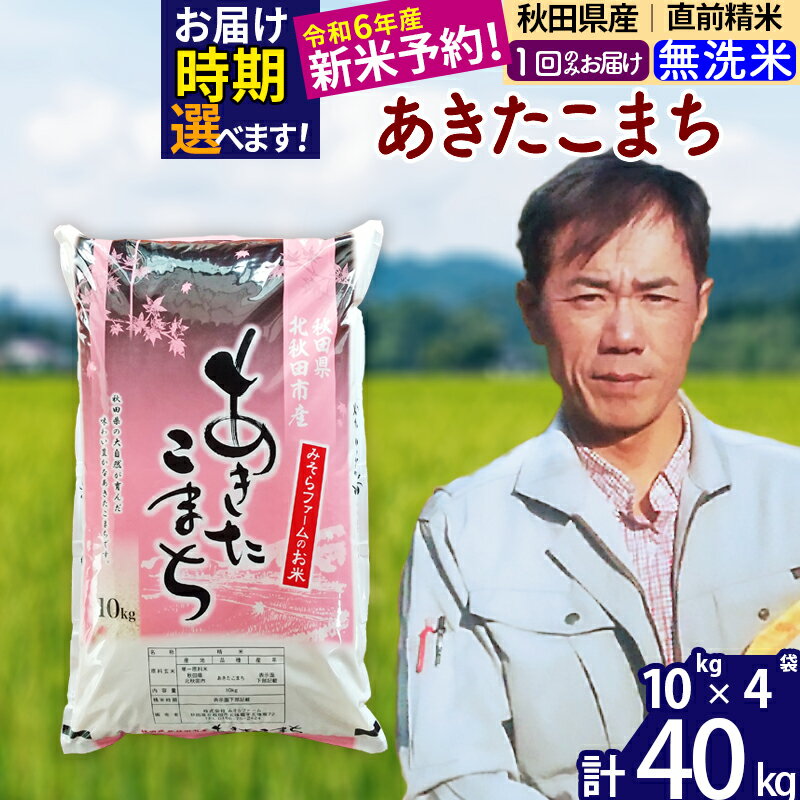 【ふるさと納税】※令和6年産 新米予約※秋田県産 あきたこまち 40kg【無洗米】(10kg袋)【1回のみお届け】2024産 お米 みそらファーム