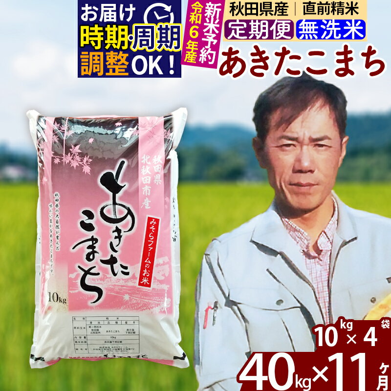 【ふるさと納税】※令和6年産 新米予約※《定期便11ヶ月》秋田県産 あきたこまち 40kg【無洗米】(10kg袋...