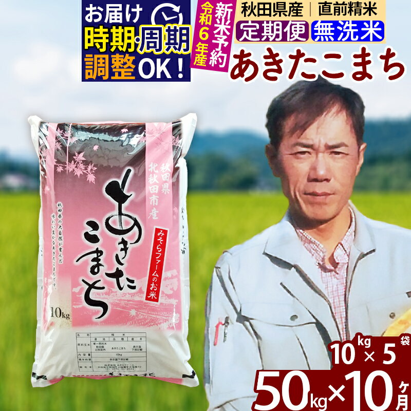 【ふるさと納税】 《定期便10ヶ月》 【無洗米】 秋田県産 あきたこまち 50kg (10kg×5袋)×10回 計500kg 令和3年産 時期選べる新米 令和4年 お届け周期調整可能 隔月に調整OK 一等米 10か月 10ヵ月 10カ月 10ケ月 50キロ お米