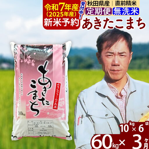 【ふるさと納税】※令和7年産 新米予約※《定期便3ヶ月》秋田県産 あきたこまち 60kg【無洗米】(10kg袋) 2025年産 お届け周期調整可能 隔月に調整OK お米 みそらファーム 【ふるさと納税】※令和7年産 新米予約※《定期便3ヶ月》秋田県産 あきたこまち 60kg【無洗米】(10kg袋) 2025年産 お届け周期調整可能 隔月に調整OK お米 みそらファーム