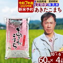 【ふるさと納税】※令和7年産 新米予約※《定期便4ヶ月》秋田県産 あきたこまち 60kg【無洗米】(10kg袋) 2025年産 お届け周期調整可能 隔月に調整OK お米 みそらファーム
