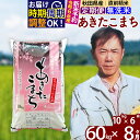 【ふるさと納税】※令和6年産 新米予約※《定期便8ヶ月》秋田県産 あきたこまち 60kg【無洗米】(10kg袋) 2024年産 お届け周期調整可能 隔..