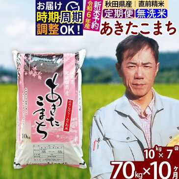 【ふるさと納税】 《定期便10ヶ月》 【無洗米】 秋田県産 あきたこまち 70kg (10kg×7袋)×10回 計700kg 令和3年産 時期選べる新米 令和4年 お届け周期調整可能 隔月に調整OK 一等米 10か月 10ヵ月 10カ月 10ケ月 70キロ お米