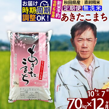 【ふるさと納税】 《定期便12ヶ月》 【無洗米】 秋田県産 あきたこまち 70kg (10kg×7袋)×12回 計840kg 令和3年産 時期選べる新米 令和4年 お届け周期調整可能 隔月に調整OK 一等米 12か月 12ヵ月 12カ月 12ケ月 70キロ お米