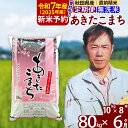 【ふるさと納税】※令和7年産 新米予約※《定期便6ヶ月》秋田県産 あきたこまち 80kg【無洗米】(10kg袋) 2025年産 お届け周期調整可能 隔月に調整OK お米 みそらファーム