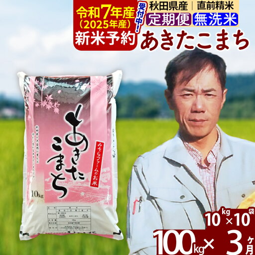 【ふるさと納税】※令和7年産 新米予約※《定期便3ヶ月》秋田県産 あきたこまち 100kg【無洗米】(10kg袋) 2025年産 お届け周期調整可能 隔月に調整OK お米 みそらファーム 【ふるさと納税】※令和7年産 新米予約※《定期便3ヶ月》秋田県産 あきたこまち 100kg【無洗米】(10kg袋) 2025年産 お届け周期調整可能 隔月に調整OK お米 みそらファーム