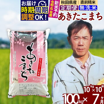 【ふるさと納税】 《定期便7ヶ月》 【無洗米】 秋田県産 あきたこまち 100kg (10kg×10袋)×7回 計700kg 令和3年産 時期選べる新米 令和4年 お届け周期調整可能 隔月に調整OK 一等米 7か月 7ヵ月 7カ月 7ケ月 100キロ お米