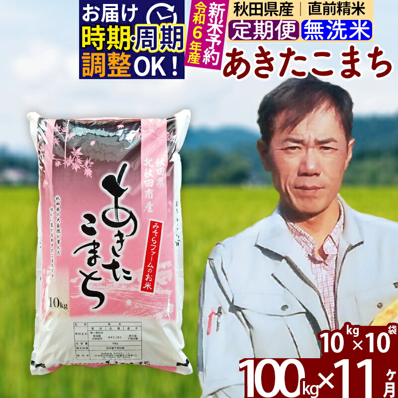 【ふるさと納税】 《定期便11ヶ月》 【無洗米】 秋田県産 あきたこまち 100kg (10kg×10袋)×11回 計1100kg 令和3年産 時期選べる新米 令和4年 お届け周期調整可能 隔月に調整OK 一等米 11か月 11ヵ月 11カ月 11ケ月 100キロ お米