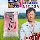 【ふるさと納税】※令和6年産 新米予約※《定期便11ヶ月》秋田県産 あきたこまち 100kg【無洗米】(10kg袋) 2024年産 お届け周期調整可能 隔月に調整OK お米 みそらファーム