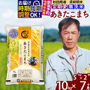 【ふるさと納税】※令和6年産 新米予約※《定期便7ヶ月》秋田県産 あきたこまち 10kg【無洗米】(5kg小分け袋) 2024年産 お届け周期調整可能 隔月に調整OK お米 みそらファーム