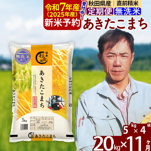 【ふるさと納税】※令和7年産 新米予約※《定期便11ヶ月》秋田県産 あきたこまち 20kg【無洗米】(5kg小分け袋) 2025年産 お届け周期調整可能 隔月に調整OK お米 みそらファーム 【ふるさと納税】※令和7年産 新米予約※《定期便11ヶ月》秋田県産 あきたこまち 20kg【無洗米】(5kg小分け袋) 2025年産 お届け周期調整可能 隔月に調整OK お米 みそらファーム