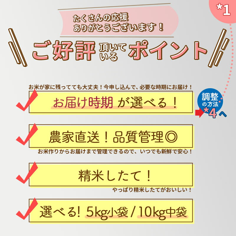 【ふるさと納税】★翌日発送あり★ 【白米】秋田県産 あきたこまち 10kg (5kg×2袋)令和3年産 お届け時期選べる 新米 令和4年 一等米 10キロ 【1回のみお届け】 小分け・中袋 【選べる配送時期】