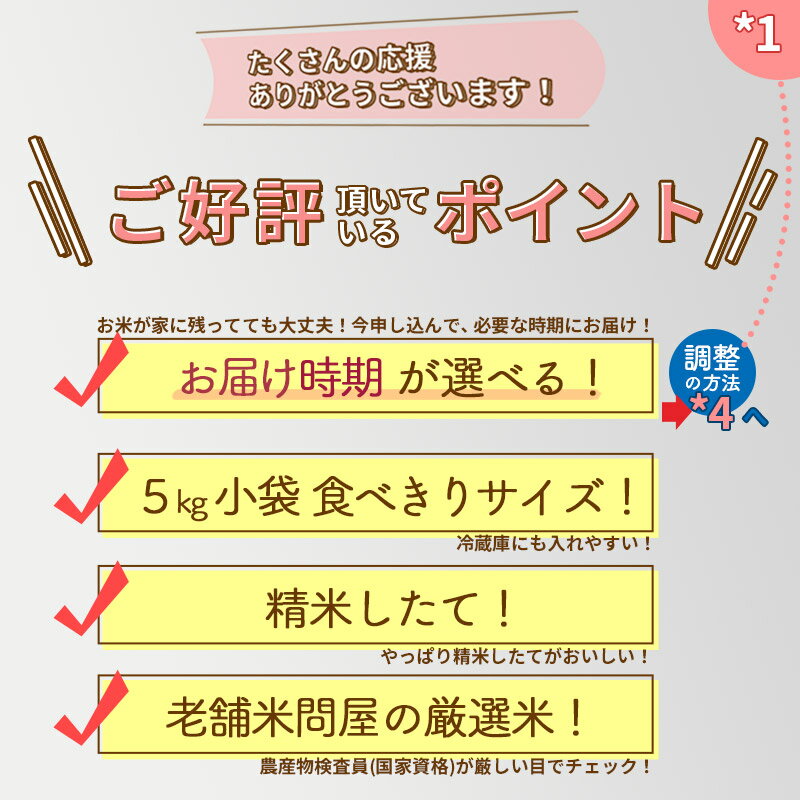 【ふるさと納税】秋田県産 あきたこまち 5kg【3分づき】(5kg小分け袋)【1回のみお届け】令和5年産 お届け時期選べる お米 おおもり 令和6年産 新米予約