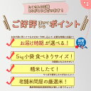 【ふるさと納税】秋田県産 あきたこまち 10kg【3分づき】(2kg小分け袋)【1回のみお届け】令和5年産 お届け時期選べる お米 おおもり 令和6年産 新米予約 2