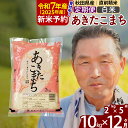 【ふるさと納税】※令和7年産 新米予約※《定期便12ヶ月》秋田県産 あきたこまち 10kg【白米】(2kg小分け袋) 2025年産 お届け時期選べる お届け周期調整可能 隔月に調整OK お米 おおもり