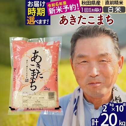 秋田県産 あきたこまち 20kg【白米】(2kg小分け袋)【1回のみお届け】令和5年産　お届け時期選べる お米 おおもり 発送時期が選べる