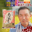 【ふるさと納税】※令和7年産 新米予約※《定期便12ヶ月》秋田県産 あきたこまち 2kg【玄米】(2kg小分け袋) 2025年産 お届け時期選べる お届け周期調整可能 隔月に調整OK お米 おおもり