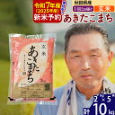 【ふるさと納税】※令和7年産 新米予約※秋田県産 あきたこまち 10kg【玄米】(2kg小分け袋)【1回のみお届け】2025年産 お届け時期選べる お米 おおもり