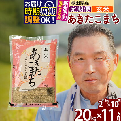 《定期便11ヶ月》秋田県産 あきたこまち 20kg【玄米】(2kg小分け袋) 令和5年産 発送時期が選べる 隔月お届けOK お米 おおもり 令和6年産 新米予約