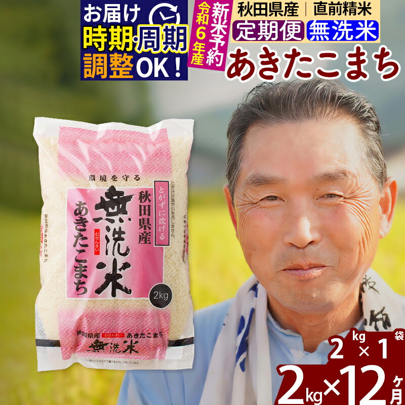 《定期便12ヶ月》秋田県産 あきたこまち 2kg(2kg小分け袋) 令和5年産 発送時期が選べる 隔月お届けOK お米 おおもり 令和6年産 新米予約