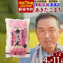 【ふるさと納税】※令和7年産 新米予約※《定期便11ヶ月》秋田県産 あきたこまち 4kg【無洗米】(2kg小分け袋) 2025年産 お届け時期選べる お届け周期調整可能 隔月に調整OK お米 おおもり