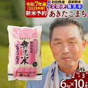 【ふるさと納税】※令和7年産 新米予約※《定期便10ヶ月》秋田県産 あきたこまち 6kg【無洗米】(2kg小分け袋) 2025年産 お届け時期選べる お届け周期調整可能 隔月に調整OK お米 おおもり
