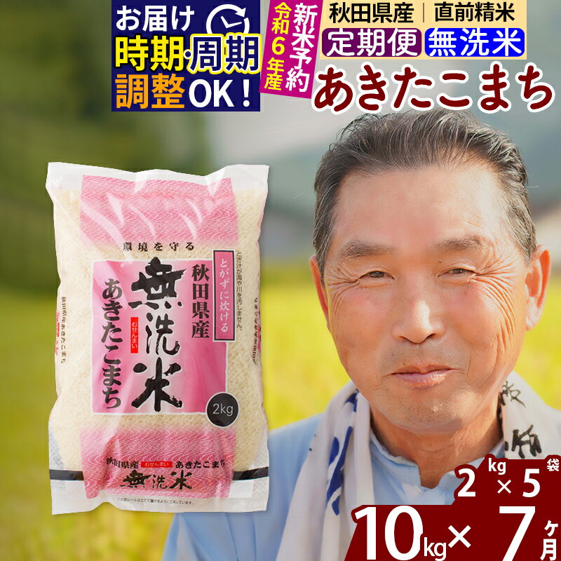 【ふるさと納税】※令和6年産 新米予約※《定期便7ヶ月》秋田