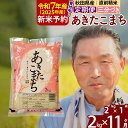 【ふるさと納税】《定期便11ヶ月》秋田県産 あきたこまち 2kg【3分づき】(2kg小分け袋) 令和5年産 発送時期が選べる 隔月お届けOK お米 おおもり