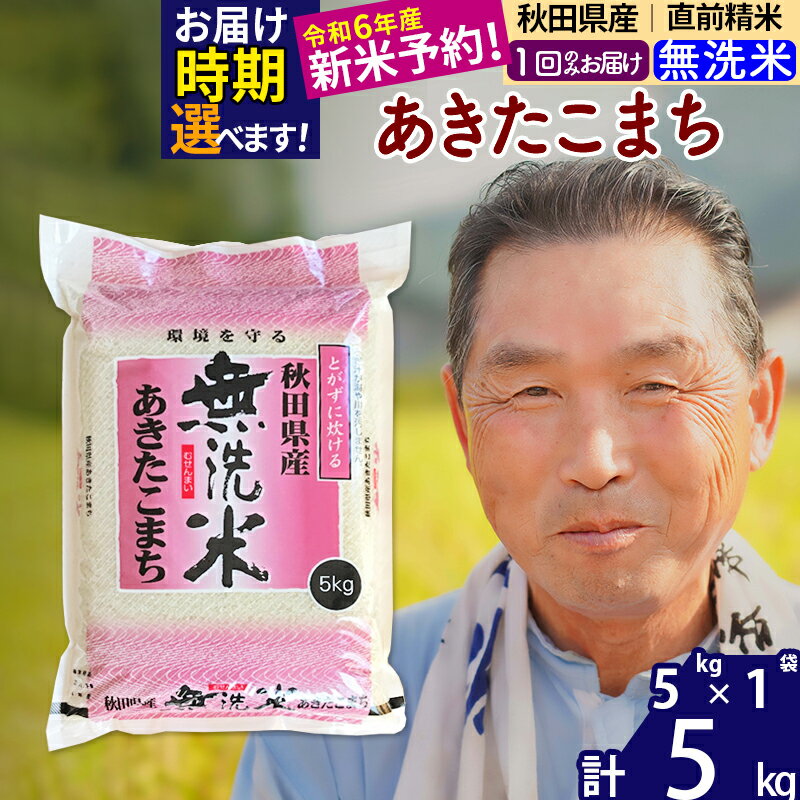 【ふるさと納税】秋田県産 あきたこまち 5kg【無洗米】(5kg小分け袋)【1回のみ...