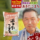 【ふるさと納税】《定期便9ヶ月》秋田県産 あきたこまち 5kg【7分づき】(5kg小分け袋) 令和5年産 発送時期が選べる 隔月お届けOK お米 おおもり