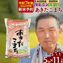 【ふるさと納税】※令和7年産 新米予約※《定期便11ヶ月》秋田県産 あきたこまち 5kg【7分づき】(5kg小分け袋) 2025年産 お届け時期選べる お届け周期調整可能 隔月に調整OK お米 おおもり