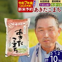 【ふるさと納税】※令和7年産 新米予約※秋田県産 あきたこまち 10kg【7分づき】(5kg小分け袋)【1回のみお届け】2025年産 お届け時期選べる お米 おおもり