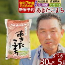 【ふるさと納税】※令和7年産 新米予約※《定期便5ヶ月》秋田県産 あきたこまち 30kg【7分づき】(5kg小分け袋) 2025年産 お届け時期選べる お届け周期調整可能 隔月に調整OK お米 おおもり