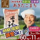 【ふるさと納税】 【七分づき】 《定期便11ヶ月》 秋田県産あきたこまち60kg(5kg×12袋)×11回 食べやすい玄米食 一等米 農産物検査員がいるお店 11か月 11ヵ月 11カ月 11ケ月 60キロ お米