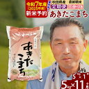 【ふるさと納税】※令和7年産 新米予約※《定期便11ヶ月》秋田県産 あきたこまち 5kg【3分づき】(5kg小分け袋) 2025年産 お届け時期選べる お届け周期調整可能 隔月に調整OK お米 おおもり