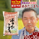 【ふるさと納税】※令和7年産 新米予約※《定期便10ヶ月》秋田県産 あきたこまち 10kg【3分づき】(5kg小分け袋) 2025年産 お届け時期選べる お届け周期調整可能 隔月に調整OK お米 おおもり