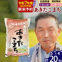 【ふるさと納税】※令和7年産 新米予約※秋田県産 あきたこまち 20kg【3分づき】(5kg小分け袋)【1回のみお届け】2025年産 お届け時期選べる お米 おおもり
