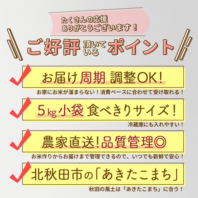 【ふるさと納税】※令和7年産 新米※《定期便6ヶ月》秋田県産 あきたこまち 10kg【白米／玄米】(5kg小分け袋) 2025年産 お届け時期選べる お届け周期調整可能 隔月に調整OK お米 すずき農産