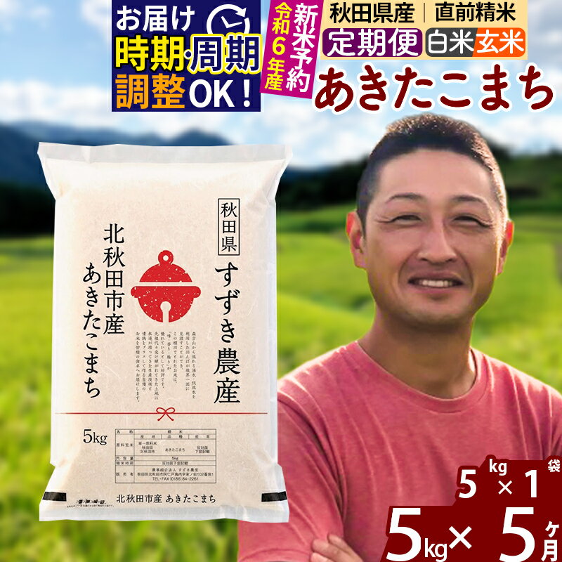 【ふるさと納税】※令和6年産 新米予約※《定期便5ヶ月》秋田