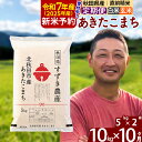 【ふるさと納税】※令和6年産 新米予約※《定期便10ヶ月》秋田県産 あきたこまち 10kg【白米／玄米】(5kg小分け袋) 2024年産 お届け周期調整可能 隔月に調整OK お米 すずき農産