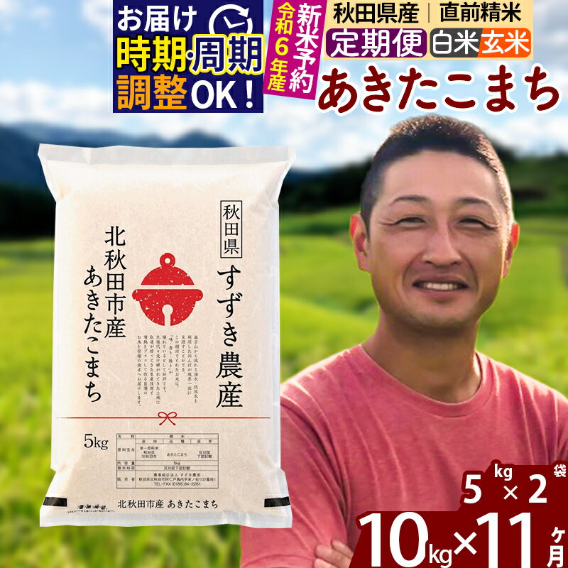 【ふるさと納税】※令和6年産 新米予約※《定期便11ヶ月》秋